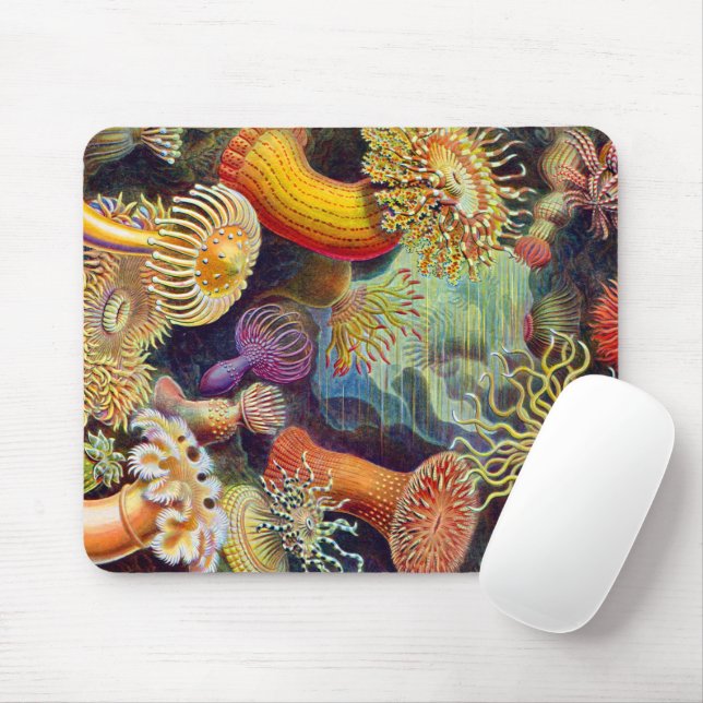 Mousepad Ernst Haeckel Sea Anemones Marine:Actiniae (Com mouse)