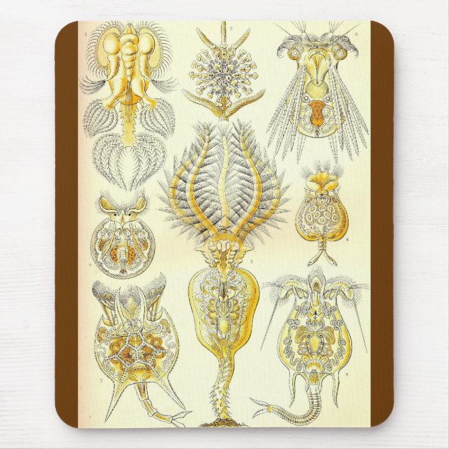 Mousepad Ernst Haeckel - substituição de Rotatoria (Frente)