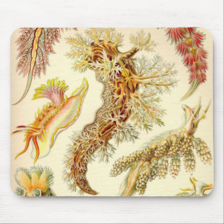 Mousepad Ernst Haeckel - tapete do rato do detalhe do
