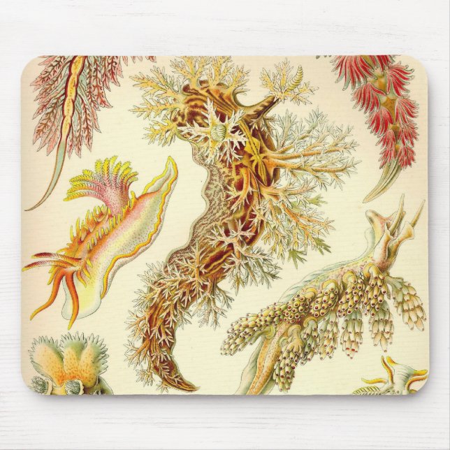 Mousepad Ernst Haeckel - tapete do rato do detalhe do (Frente)