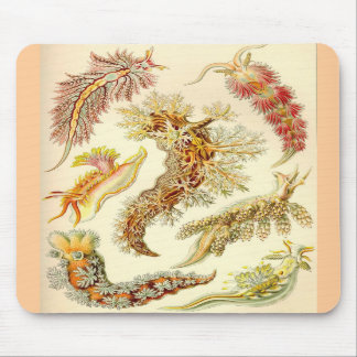 Mousepad Ernst Haeckel - tapete do rato do Nudibranchia