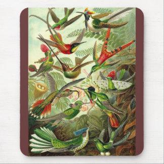 Mousepad Ernst Haeckel - Trochilidae Hummingbird