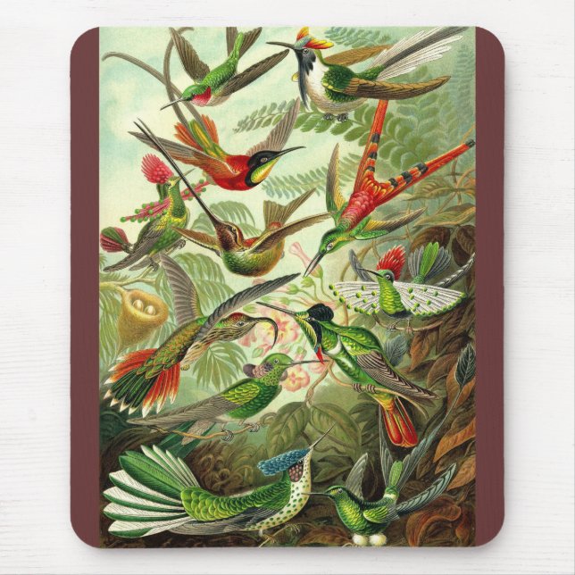 Mousepad Ernst Haeckel - Trochilidae Hummingbird (Frente)