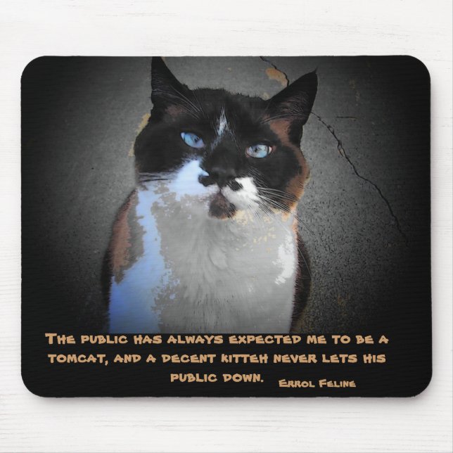 Mousepad Errol felino - Tomcat internacional (Frente)