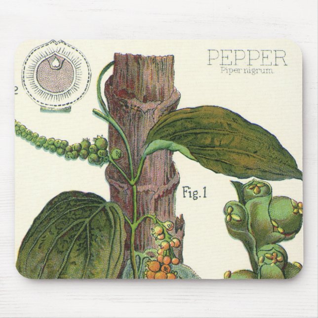 Mousepad Ervas e especiarias alimentares vintage, planta de (Frente)