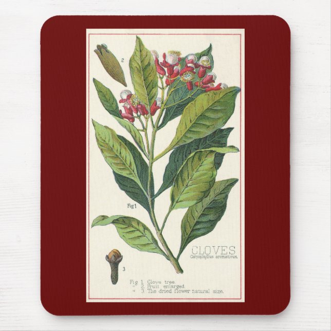 Mousepad Ervas e especiarias alimentares vintage, planta de (Frente)