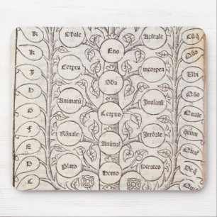 Mousepad Escada celestial
