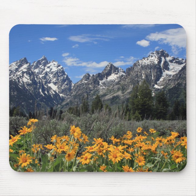 Mousepad Escala de Teton grande coberto de neve com flores (Frente)