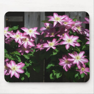 Mousepad Escalando Flores De Mola Roxo Clematis