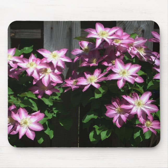 Mousepad Escalando Flores De Mola Roxo Clematis (Frente)