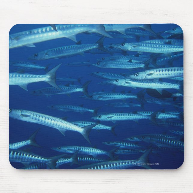Mousepad Escola de Peixe 9 (Frente)