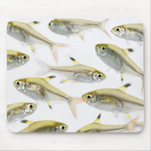 Mousepad Escola de peixes tetra do raio X (Pristella
