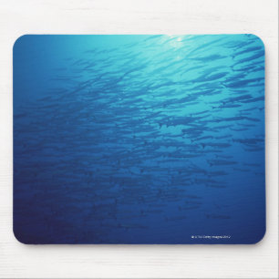 Mousepad Escola dos peixes 12