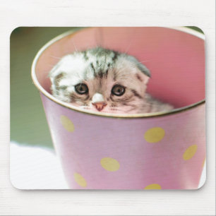 Mousepad Esconder do gatinho