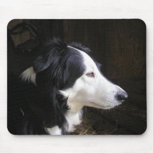 Mousepad Escuta