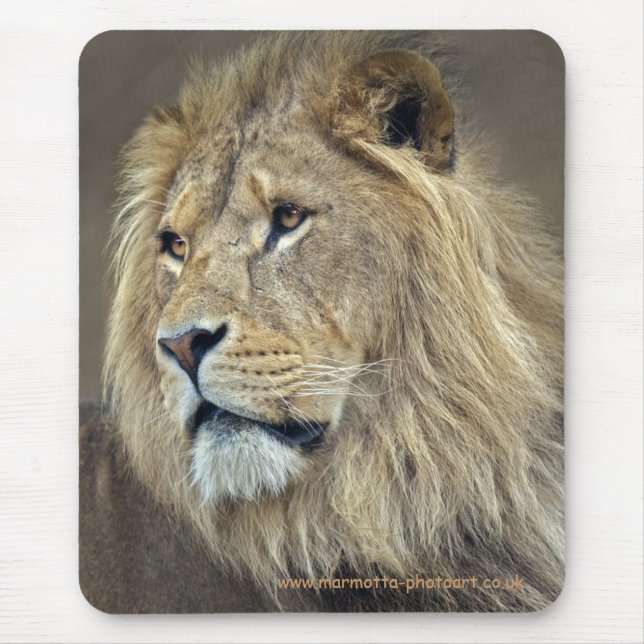 Mousepad Esfinge (Frente)