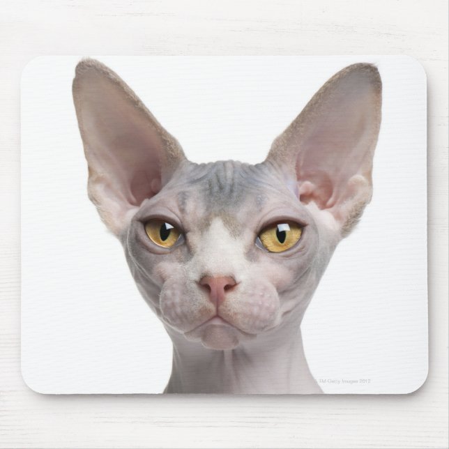 Mousepad Esfinge (7 meses de idade) (Frente)
