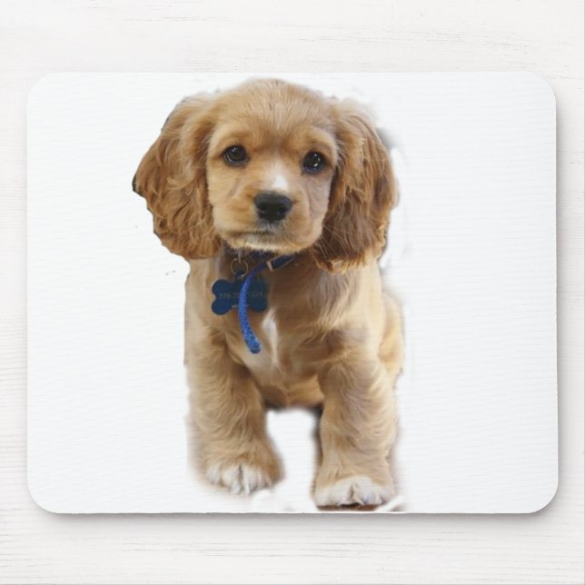 Mousepad Espanhol do Cocker (Frente)