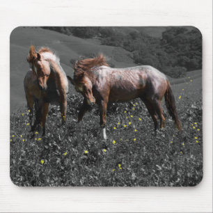 Mousepad Espato do garanhão