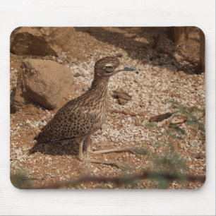 Mousepad Espesso-Joelho Bush