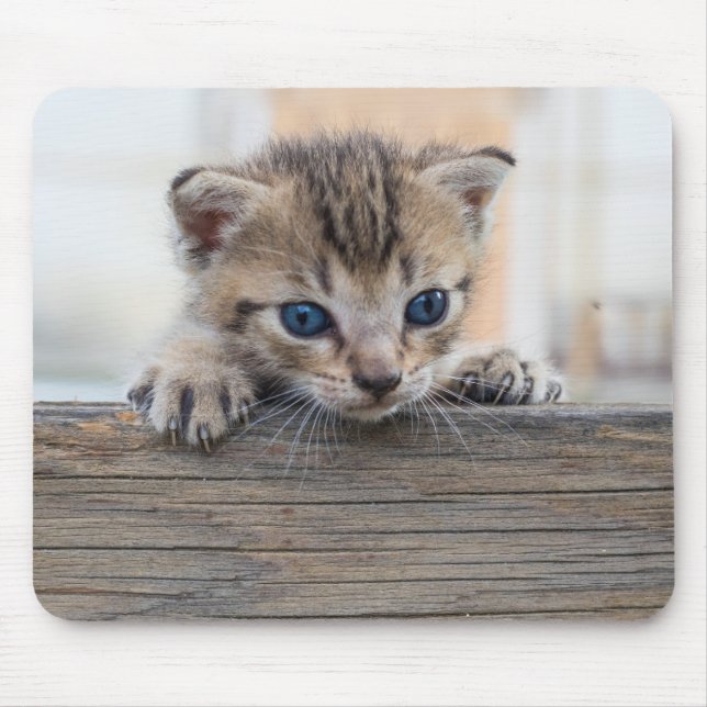 Mousepad Espia-Purr (Frente)