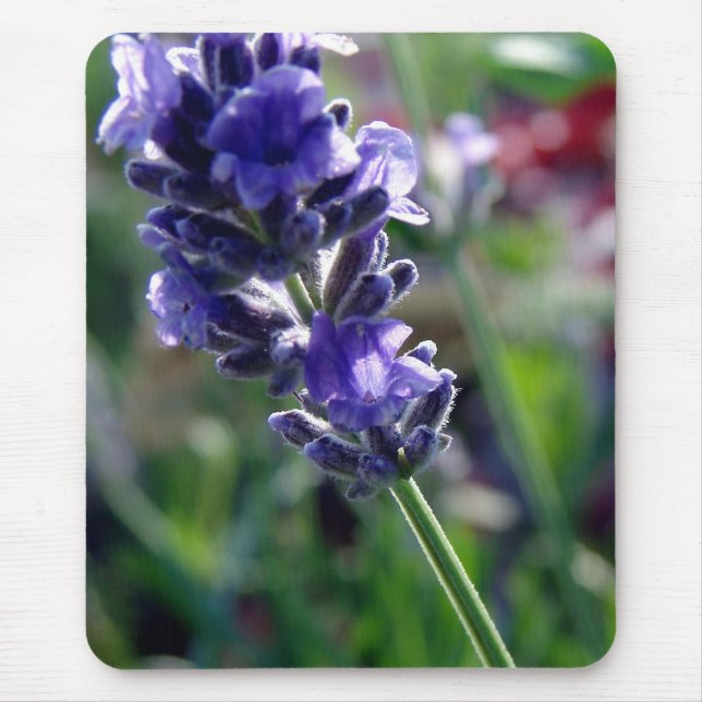 Mousepad Espiga de Flor Roxa (Frente)