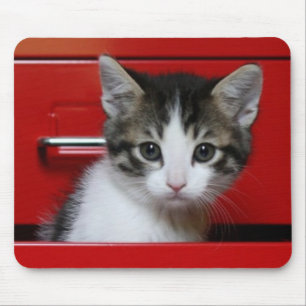 Mousepad Espreitar do gatinho