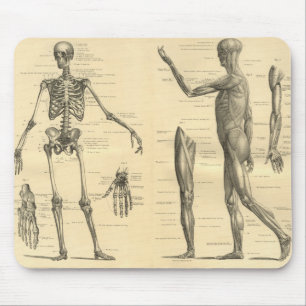 Mousepad Esqueleto da anatomia e músculos humanos do corpo