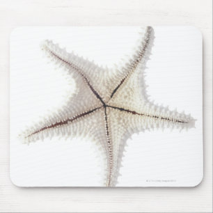 Mousepad Esqueleto da estrela do mar, fim-acima