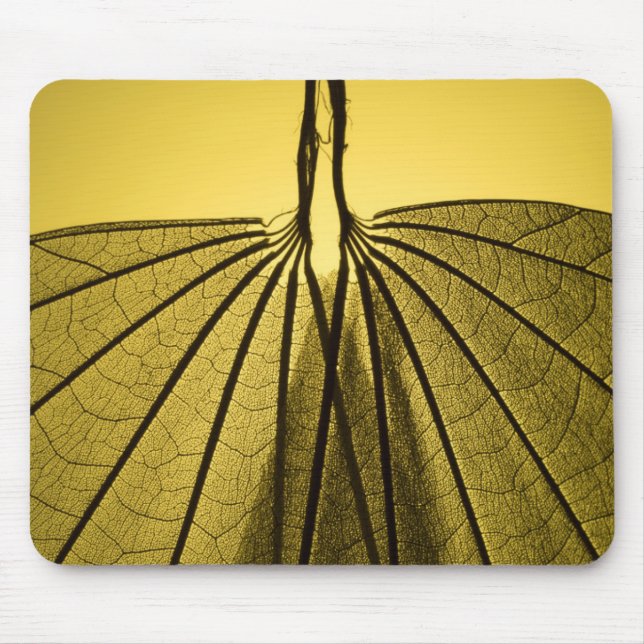 Mousepad Esqueleto da folha (Frente)