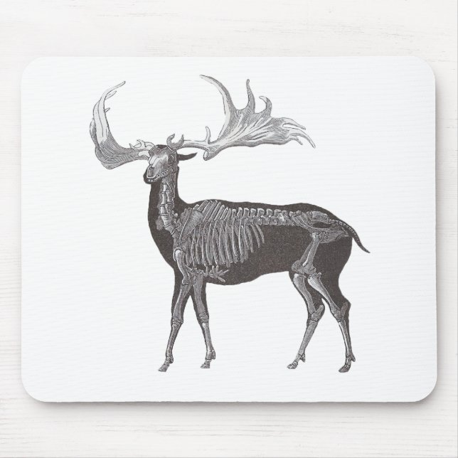 Mousepad Esqueleto de alces irlandeses - hibernicus de (Frente)