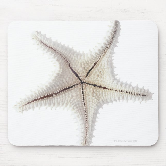 Mousepad Esqueleto de Starfish, close-up (Frente)