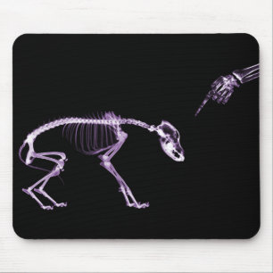Mousepad Esqueleto mau do raio X do cão no roxo