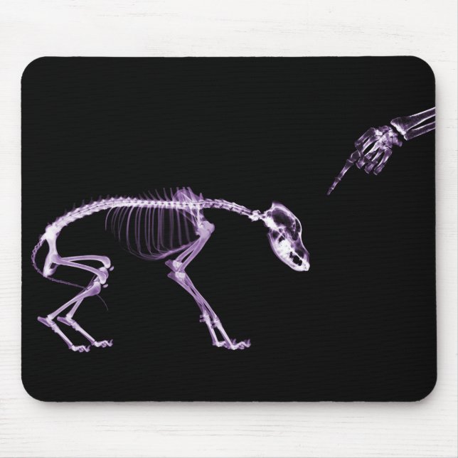 Mousepad Esqueleto mau do raio X do cão no roxo (Frente)