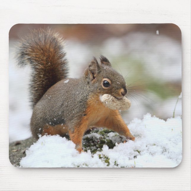 Mousepad Esquilo bonito na neve com amendoim (Frente)