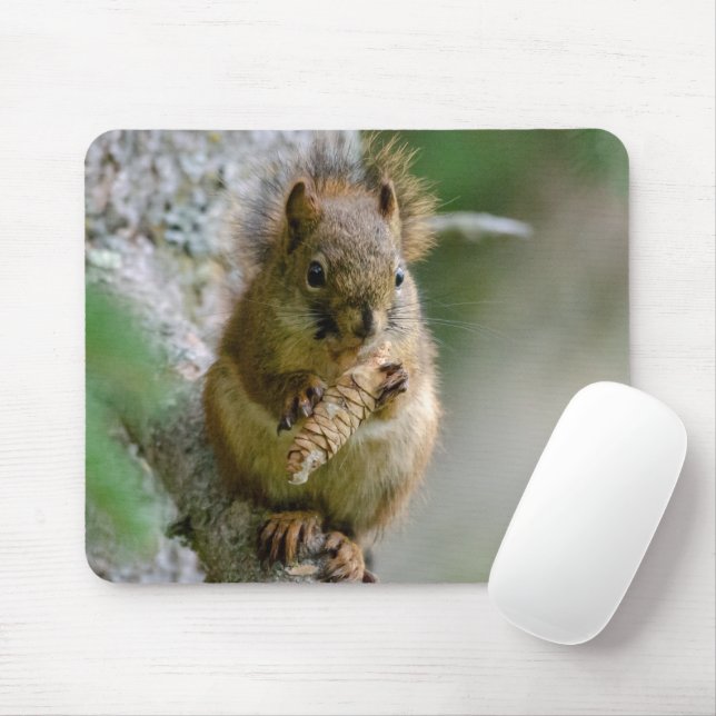 Mousepad Esquilo Castanho Entre Ramais - Vida Selvagem Cana (Com mouse)