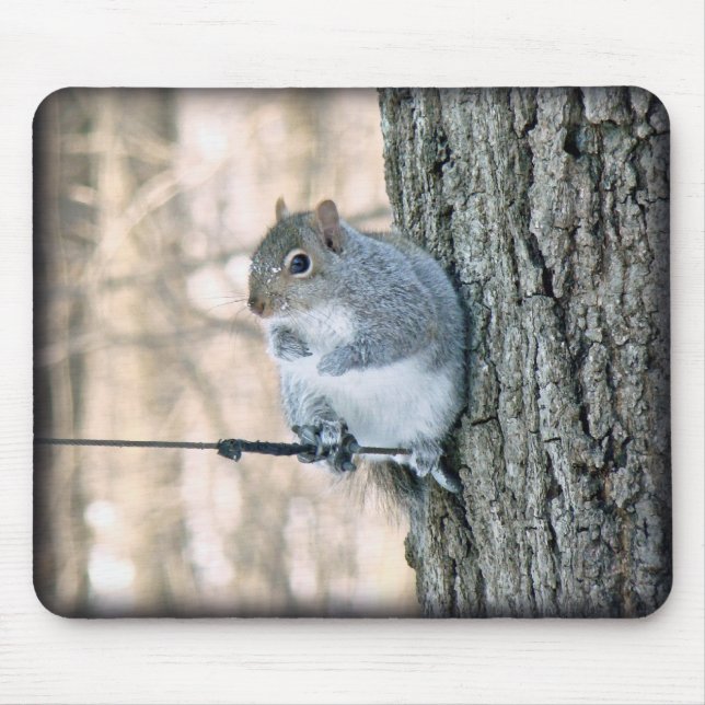 Mousepad Esquilo cinza - Sciurus carolinensis (Frente)