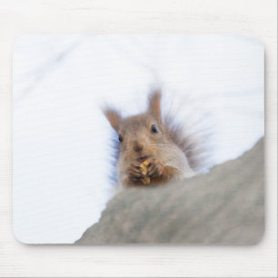 Mousepad Esquilo com noz
