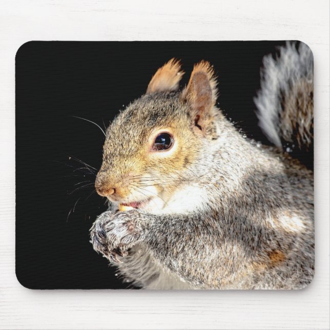 Mousepad Esquilo comendo noz (Frente)