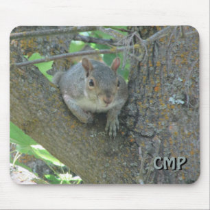 Mousepad Esquilo curioso em árvore com suas iniciais