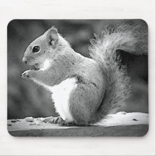 Mousepad Esquilo de Comida