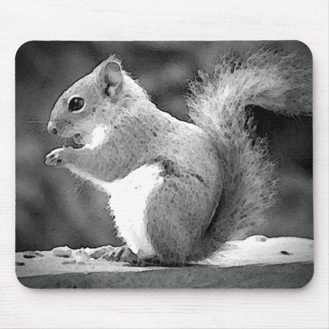 Mousepad Esquilo de Comida (Frente)