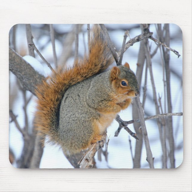Mousepad Esquilo de inverno (Frente)