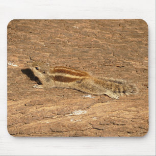 Mousepad Esquilo de Palma Indiano num tronco de Árvore