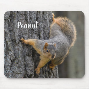 Mousepad Esquilo de Raposa Personalizado em uma Árvore