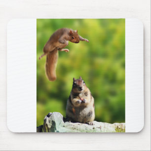 Mousepad Esquilo de vôo