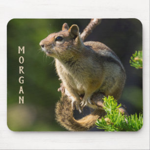 Mousepad Esquilo do solo coberto com ouro