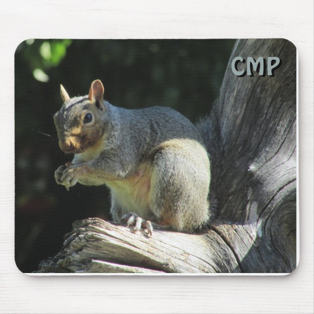 Mousepad Esquilo Fofo com suas Inicials (Frente)