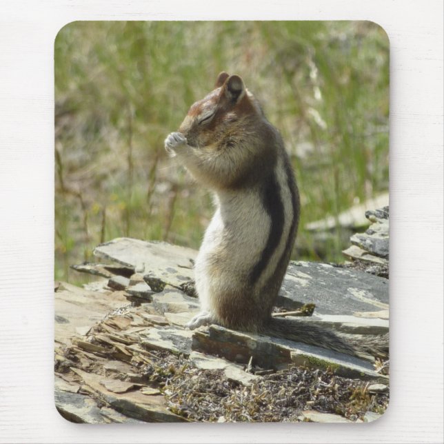 Mousepad Esquilo-Marmota de Manto Dourado no Glaciar I (Frente)