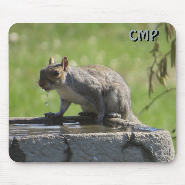 Mousepad Esquilo no Banho de Pássaros com suas Iniciais (Frente)